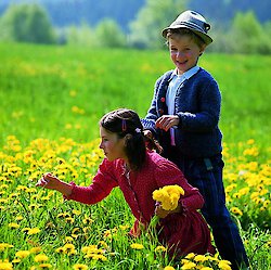 Ferienwohnungen am Nationalpark Bayerischer Wald beliebter denn je